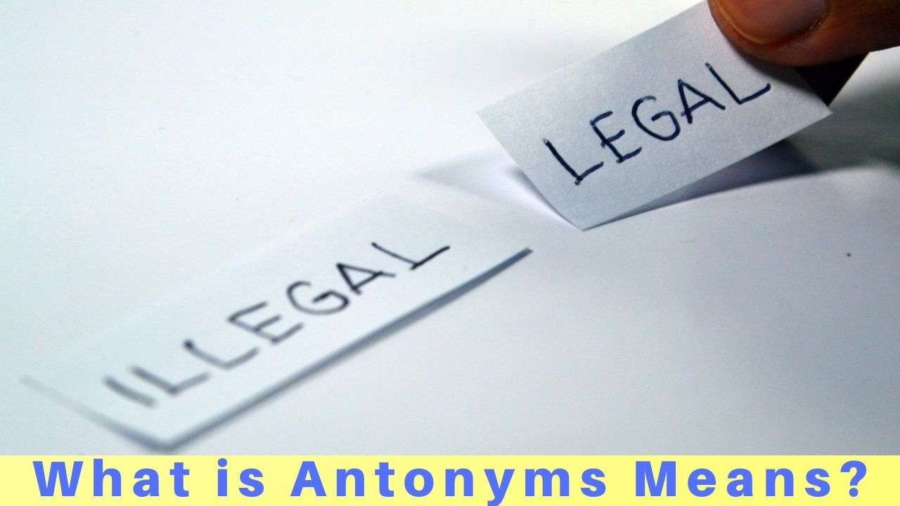 what-is-antonyms-means-87knowledge