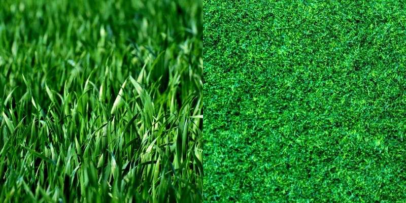 NCERT Solutions for Class 7 English Honeycomb Poem 8