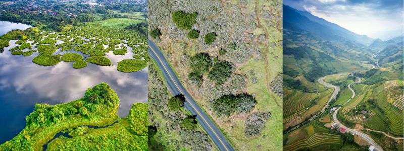 NCERT Solutions for Class 8 English Honeydew Poem 2