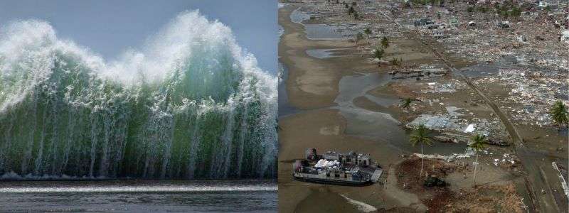 NCERT Solutions for Class 8 English Honeydew Chapter 2