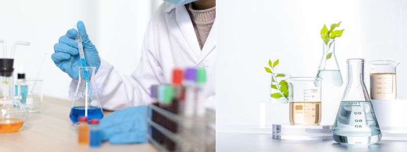 NCERT Solutions for Class 7 English Honeycomb Chapter 7